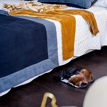 بيت ضيافة Arnobio فلورنس